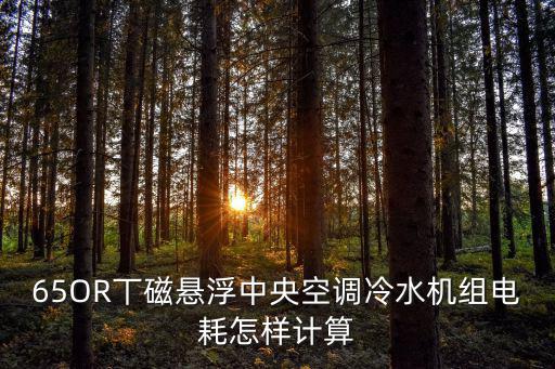 65OR丅磁懸浮中央空調冷水機組電耗怎樣計算