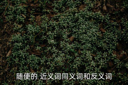 隨意的近義詞,隨意de近義