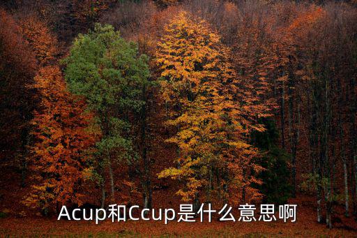 Acup和Ccup是什么意思啊