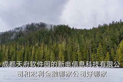 成都天府軟件園的新電信息科技有限公司和宏利金融哪家公司好哪家
