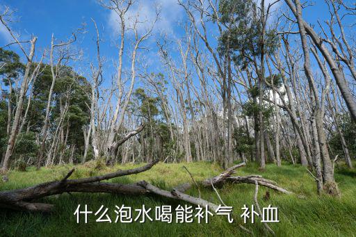 什么泡水喝能補氣 補血