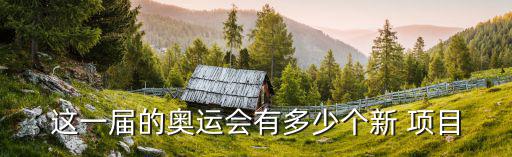 這一屆的奧運會有多少個新 項目