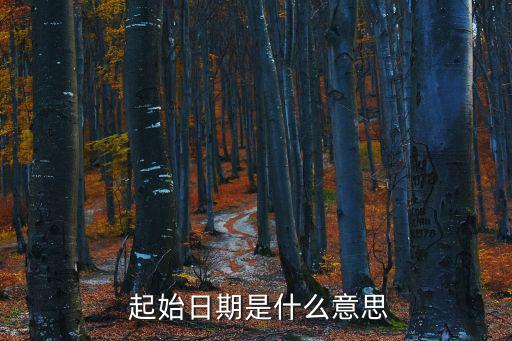  起始日期是什么意思