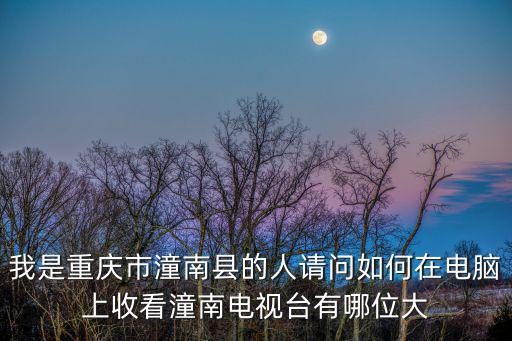 我是重慶市潼南縣的人請問如何在電腦上收看潼南電視臺有哪位大
