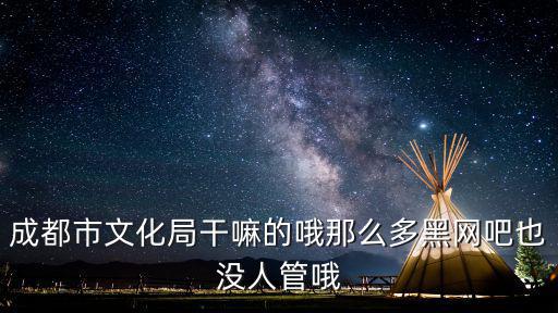 成都市文化局干嘛的哦那么多黑網(wǎng)吧也沒人管哦