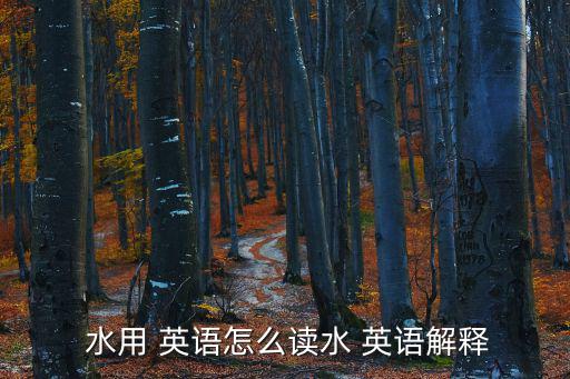  水用 英語怎么讀水 英語解釋