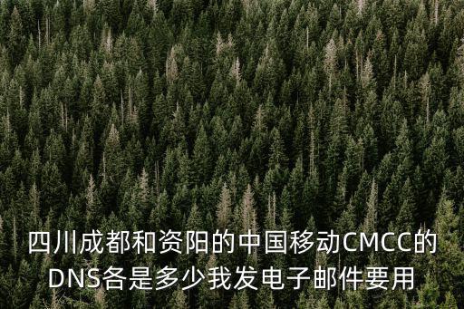 四川成都和資陽的中國移動CMCC的DNS各是多少我發電子郵件要用