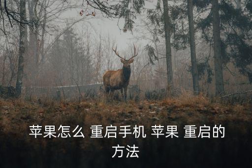  蘋(píng)果怎么 重啟手機(jī) 蘋(píng)果 重啟的方法