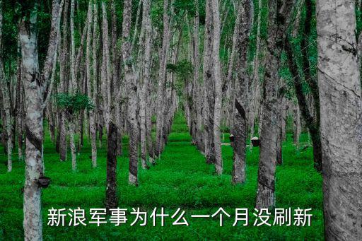 臺海形勢,新浪軍事頻道主要節目有國內國際軍事