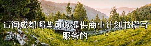請問成都哪些可以提供商業(yè)計劃書撰寫服務的