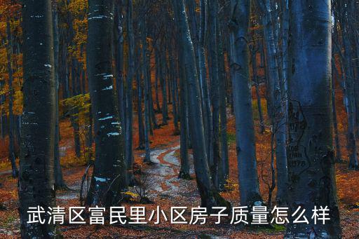 武清區富民里小區房子質量怎么樣
