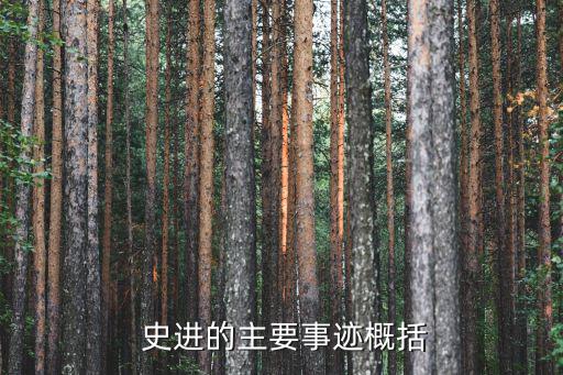  史進(jìn)的主要事跡概括