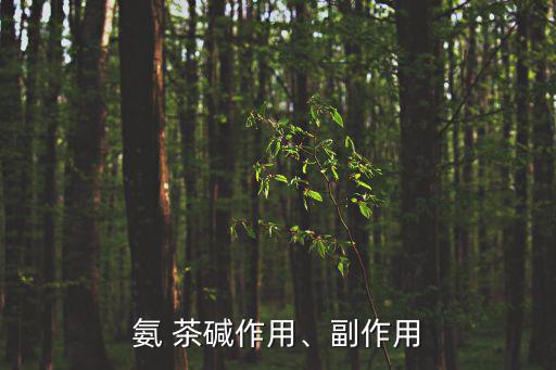 氨 茶堿作用、副作用