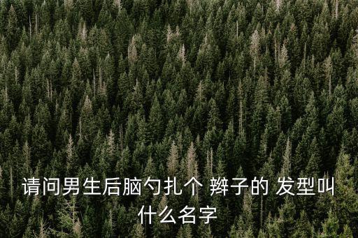辮子發型圖片,帥哥高馬尾發型!從側面分割線處開始編織
