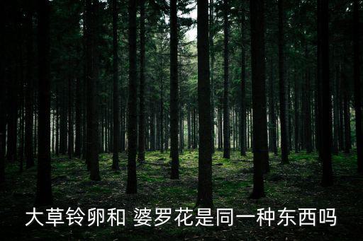 婆羅花,尤坦婆羅花是吉祥之兆!
