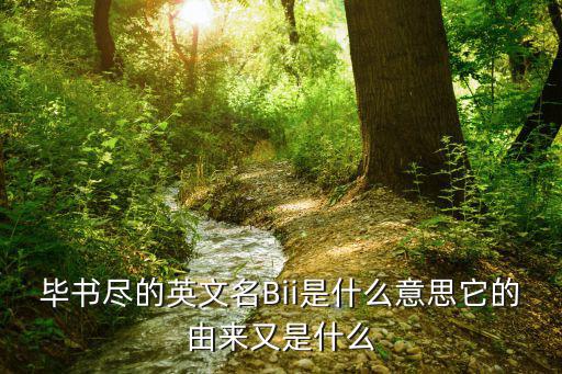 畢書盡的英文名Bii是什么意思它的由來又是什么