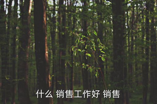 什么銷售比較好做,如何進(jìn)行電子商務(wù)領(lǐng)域的發(fā)展?