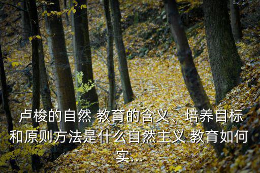 盧梭的教育思想,盧梭教育思想傾向自然反抗封建主義