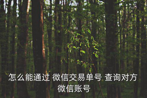 微信轉賬單號查詢,微信to查詢對方賬號僅用于退款等操作