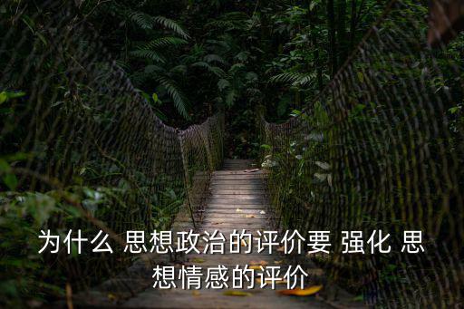 為什么 思想政治的評價(jià)要 強(qiáng)化 思想情感的評價(jià)