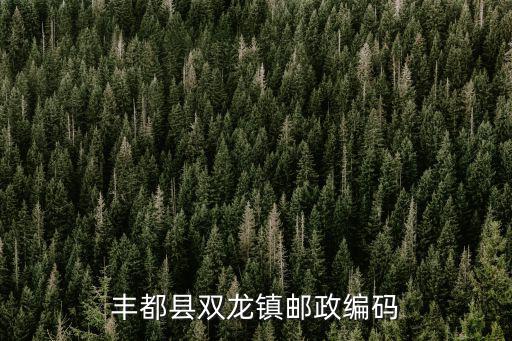 豐都縣雙龍鎮郵政編碼