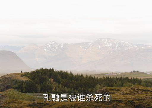 孔融是怎么死的,孔融被指批評時政用極端語言得罪曹操