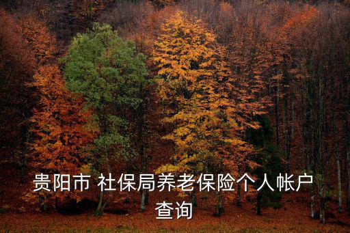  貴陽市 社保局養老保險個人帳戶 查詢