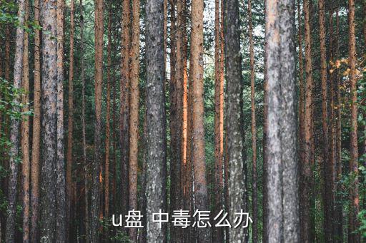 u盤 中毒怎么辦