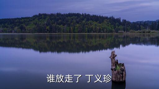 丁義珍,《人民的名義》第二集:義珍用完錢(qián)就沒(méi)錢(qián)了