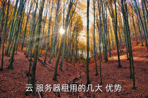 云服務(wù)器的優(yōu)勢,云服務(wù)器具備數(shù)據(jù)自動(dòng)同步備份功能
