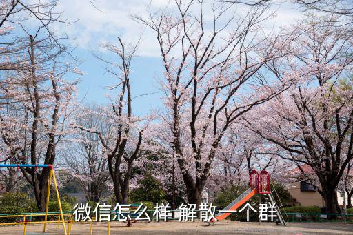 怎樣解散微信群,怎么進入和微信群解散?