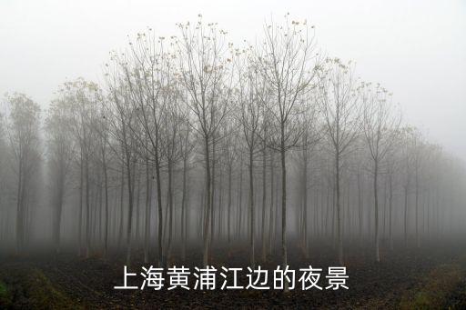 上海夜景圖片風景真實照片，上海的夜景那最漂亮