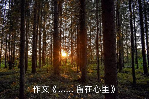 作文《…… 留在心里》