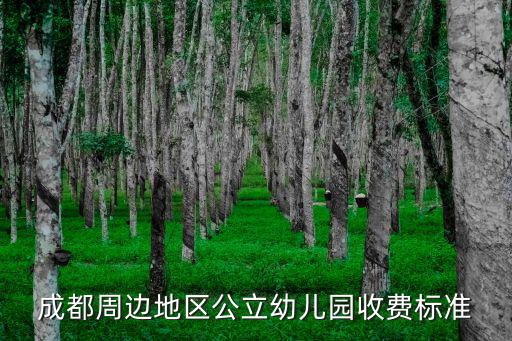 成都市武侯區(qū)公立幼兒園收費標準，成都周邊地區(qū)公立幼兒園收費標準