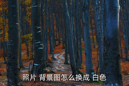 照片 背景圖怎么換成 白色