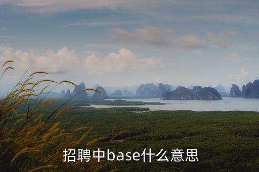  招聘中base什么意思