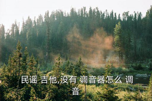  民謠 吉他,沒有 調音器怎么 調音
