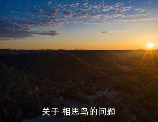 關于 相思鳥的問題