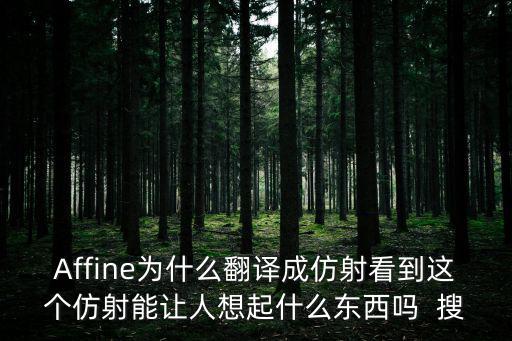 Affine為什么翻譯成仿射看到這個仿射能讓人想起什么東西嗎  搜