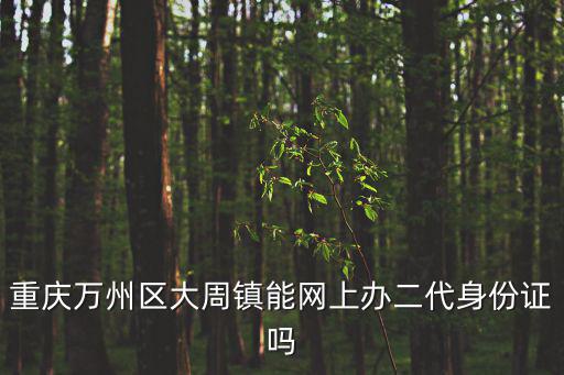 重慶萬州區大周鎮能網上辦二代身份證嗎