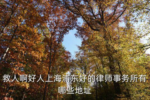 救人啊好人上海浦東好的律師事務(wù)所有哪些地址