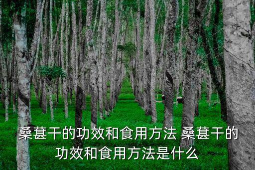  桑葚干的功效和食用方法 桑葚干的功效和食用方法是什么