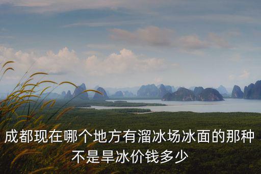 成都現在哪個地方有溜冰場冰面的那種不是旱冰價錢多少