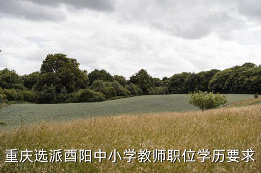 重慶選派酉陽中小學教師職位學歷要求