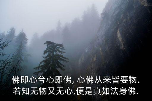 佛即心兮心即佛, 心佛從來皆要物.若知無物又無心,便是真如法身佛.