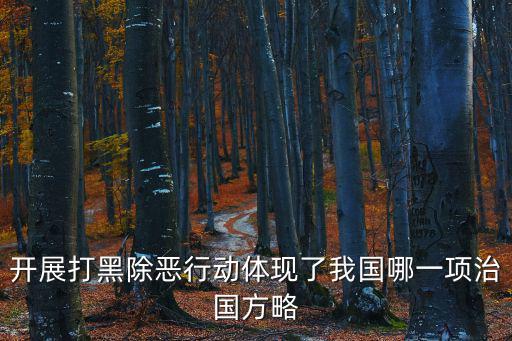 開展打黑除惡行動體現了我國哪一項治國方略