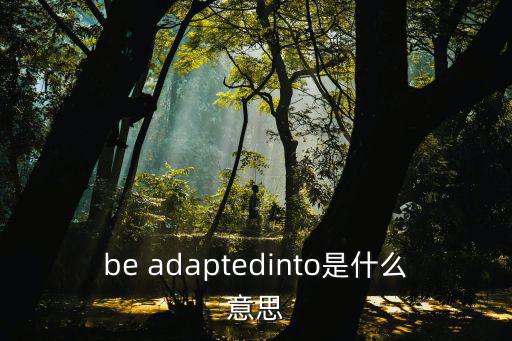 be adaptedinto是什么意思