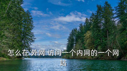 怎么在 外網 訪問一個內網的一個網站
