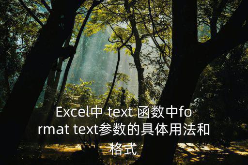 Excel中 text 函數(shù)中format text參數(shù)的具體用法和格式
