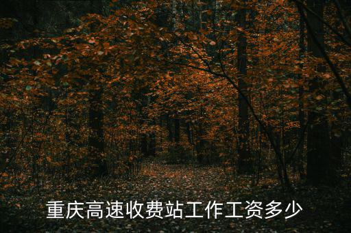 重慶高速收費站工作工資多少